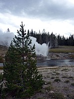 Yellowstone Old faithfull et ses environs (93).JPG